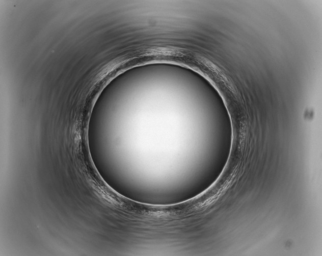 X0000099421017200805161041