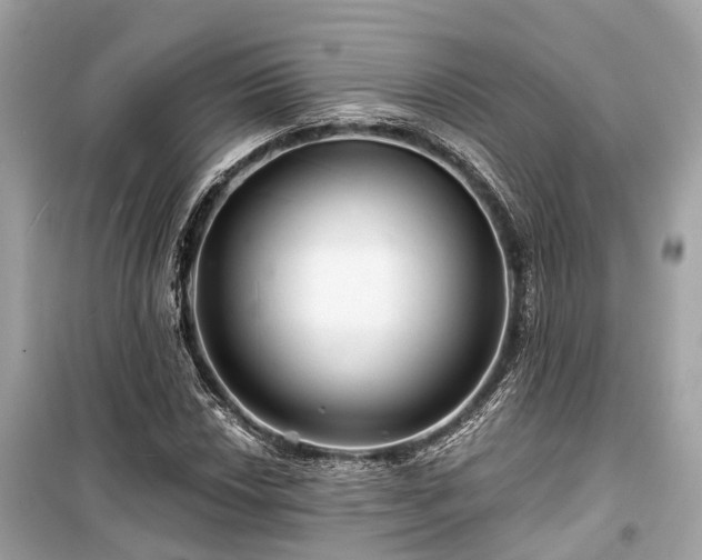 X0000099421018200805161041
