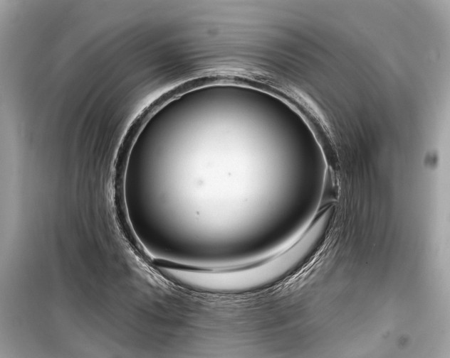 X0000099421020200805161041