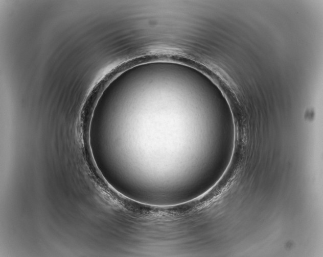 X0000099421022200805161041