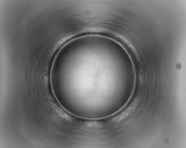 X0000099421025200805161041