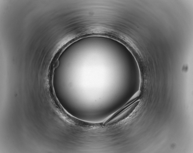 X0000099421026200805161041