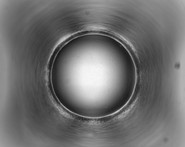 X0000099421029200805161041