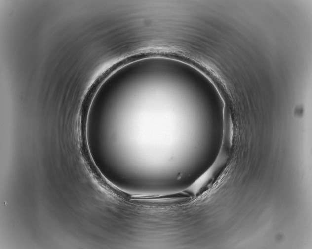 X0000099421030200805161041