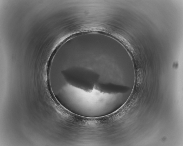 X0000099421031200805161041