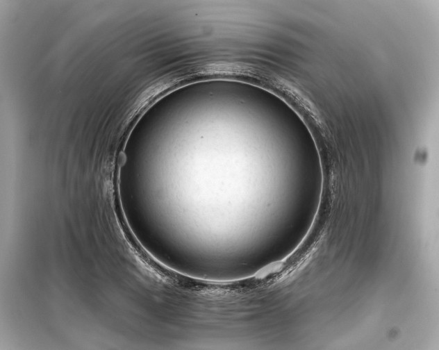 X0000099421033200805161041