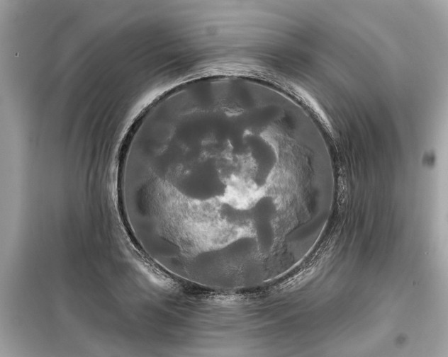 X0000099421035200805161041