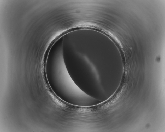 X0000099421037200805161041
