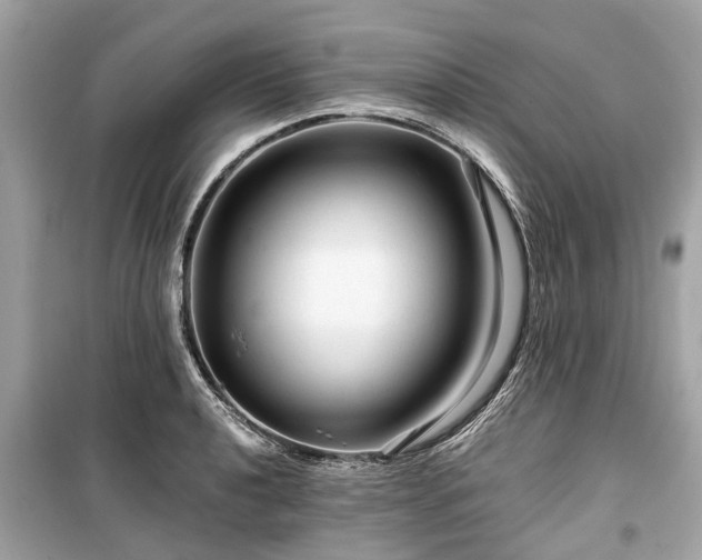 X0000099421040200805161041