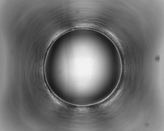 X0000099421041200805161041