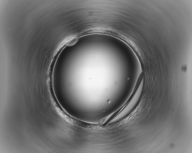 X0000099421042200805161041