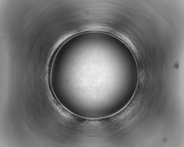 X0000099421043200805161041