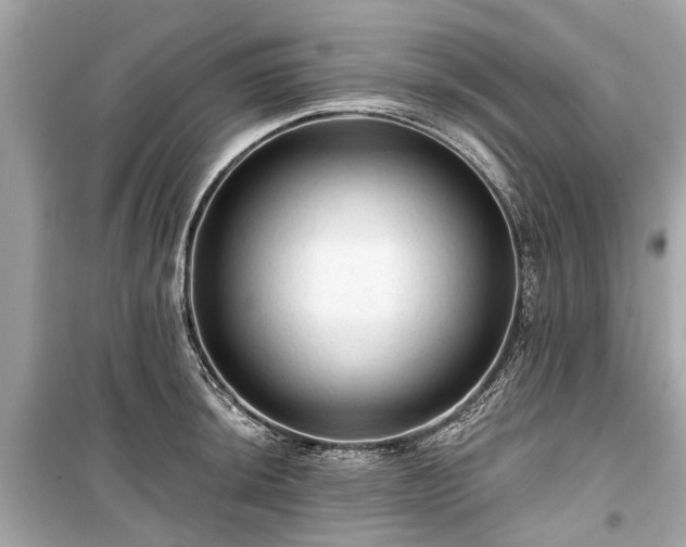 X0000099421044200805161041