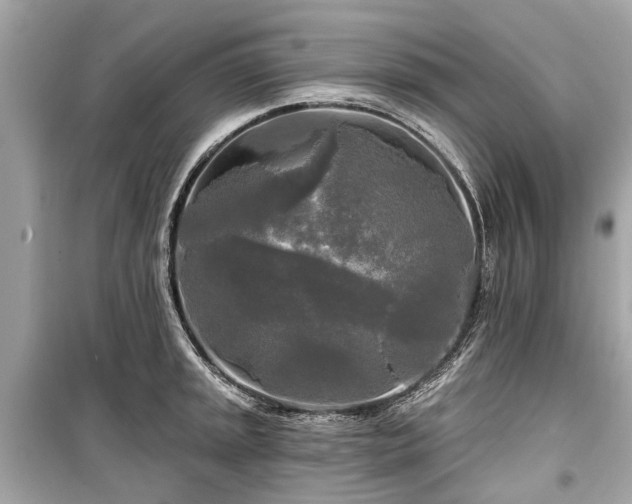 X0000099421045200805161041