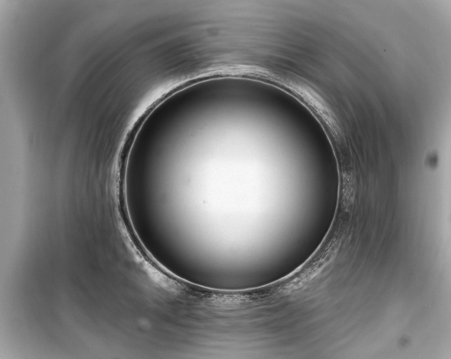 X0000099421046200805161041