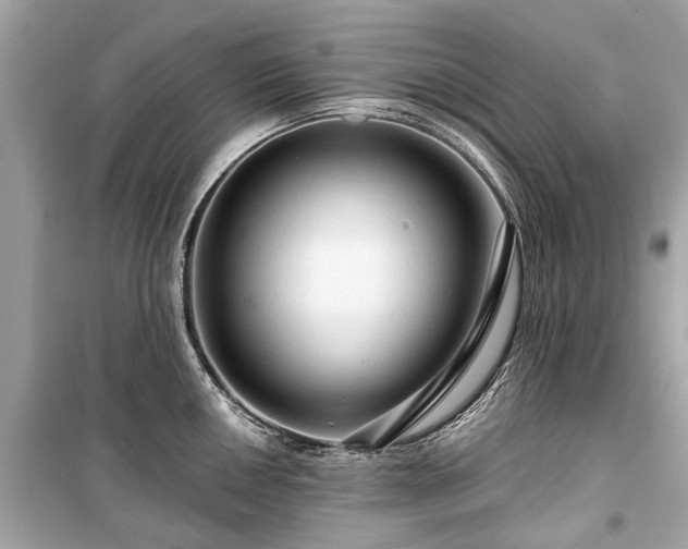 X0000099421050200805161041