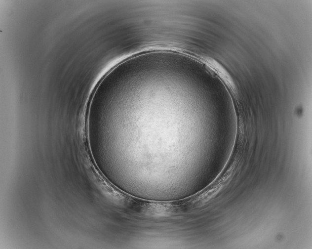 X0000099421052200805161041