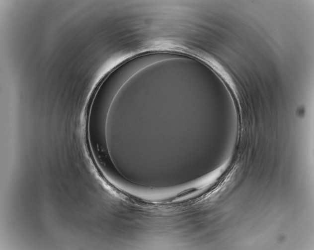 X0000099421053200805161041