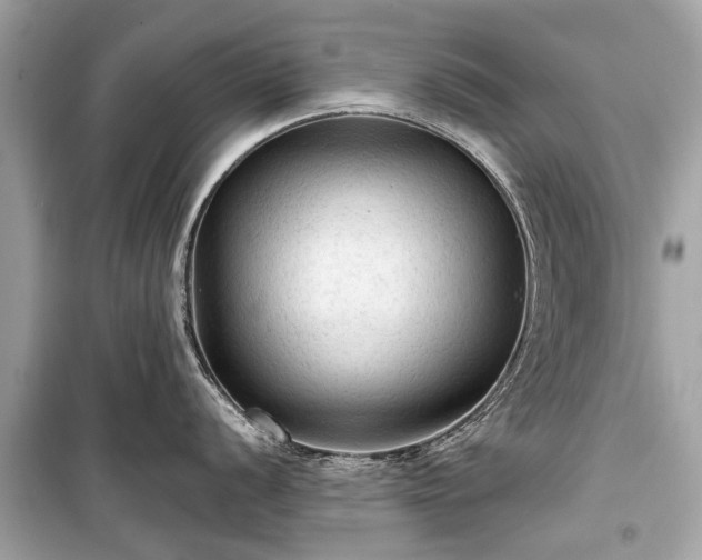X0000099421056200805161041