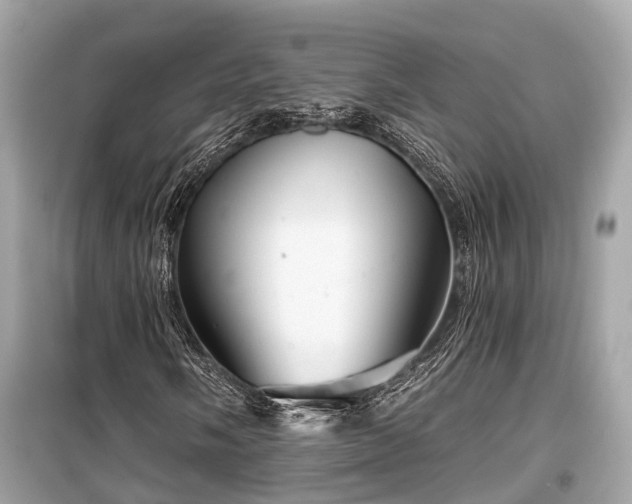 X0000099421058200805161040