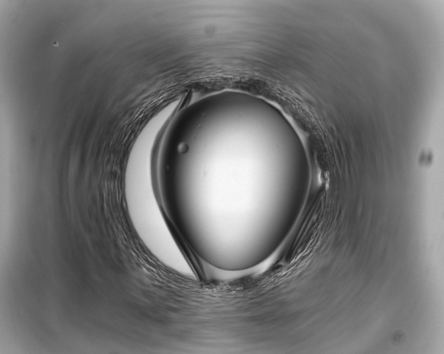 X0000099421059200805161040