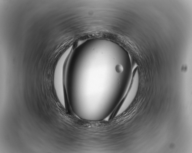 X0000099421060200805161040