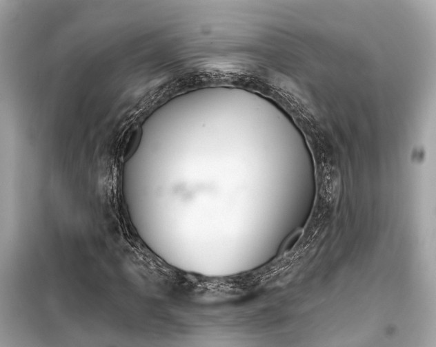 X0000099421061200805161040