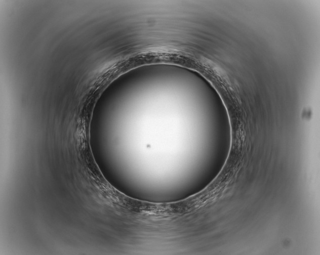 X0000099421062200805161040