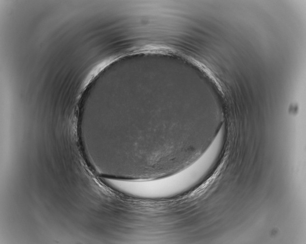 X0000099421066200805161040