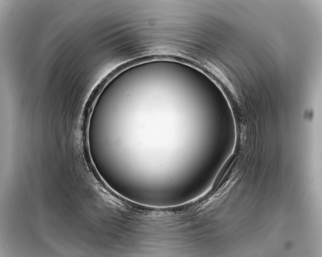 X0000099421068200805161040