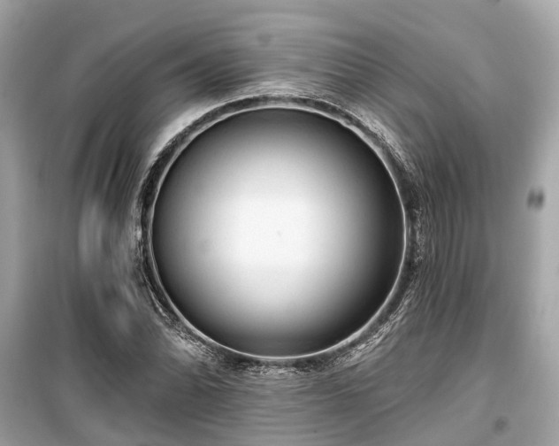 X0000099421070200805161040