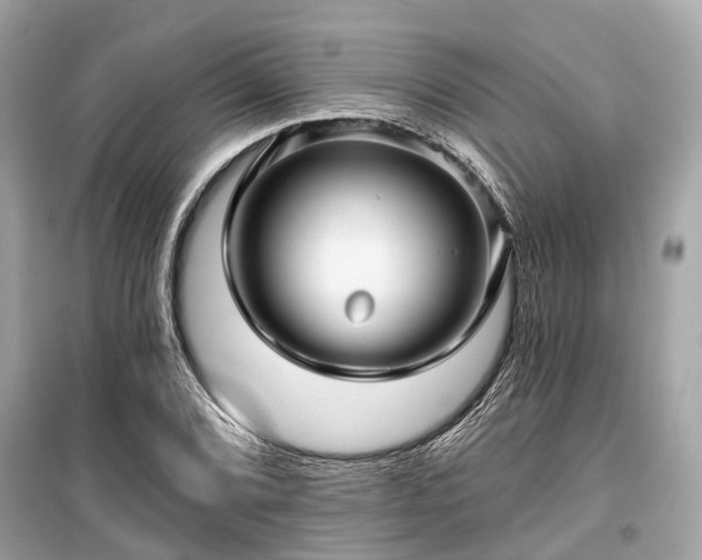 X0000099421072200805161040