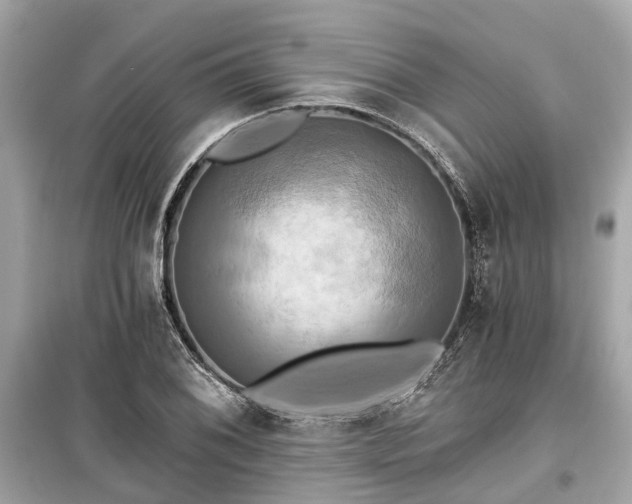 X0000099421076200805161040