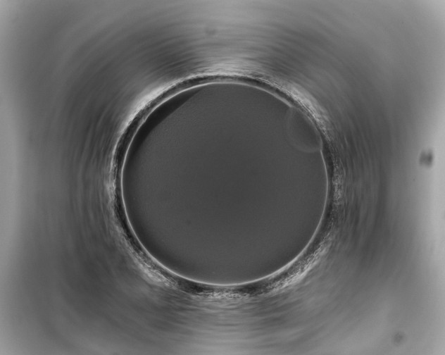 X0000099421077200805161040