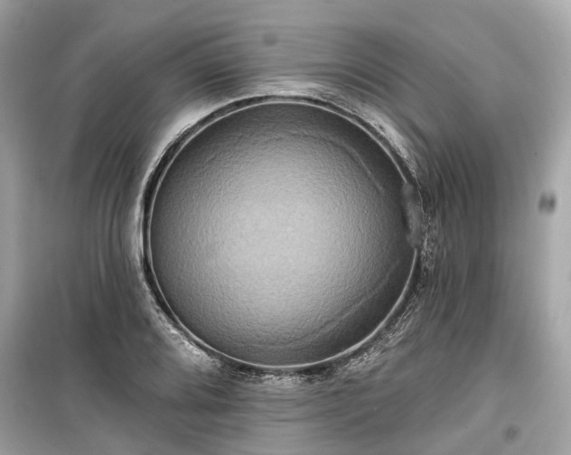 X0000099421080200805161040