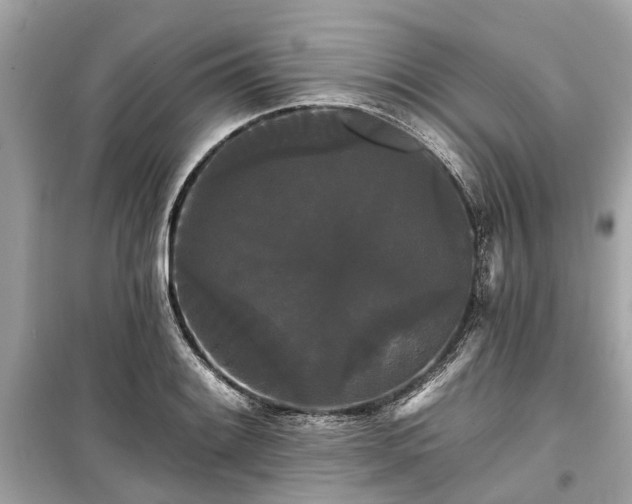 X0000099421084200805161040