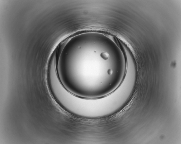 X0000099421085200805161040