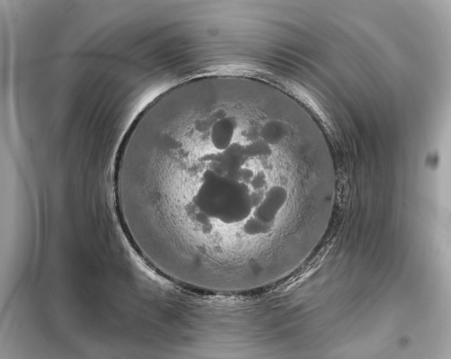 X0000099421087200805161040