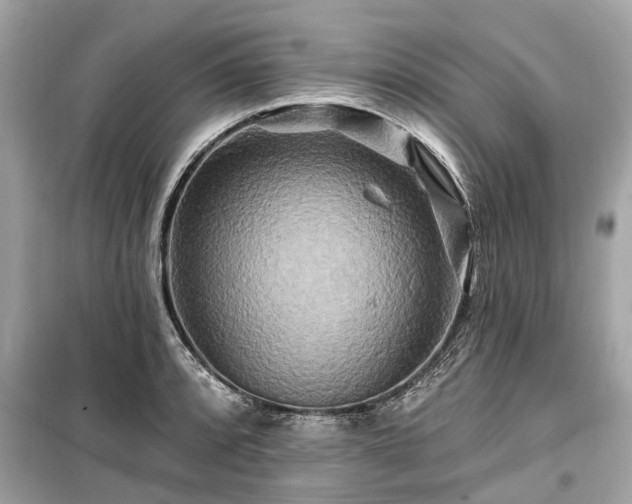 X0000099421088200805161040