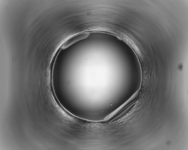 X0000099421092200805161040
