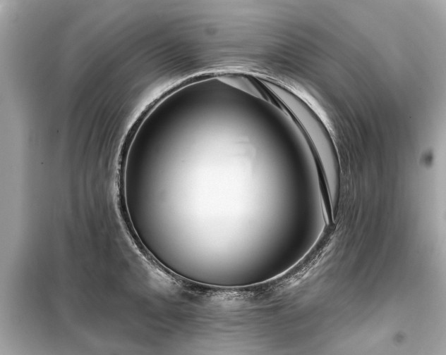 X0000099421093200805161040