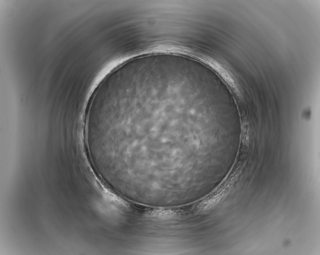 X0000099421094200805161040