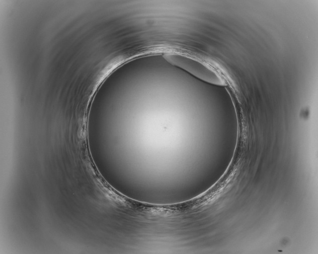 X0000099421097200805161040