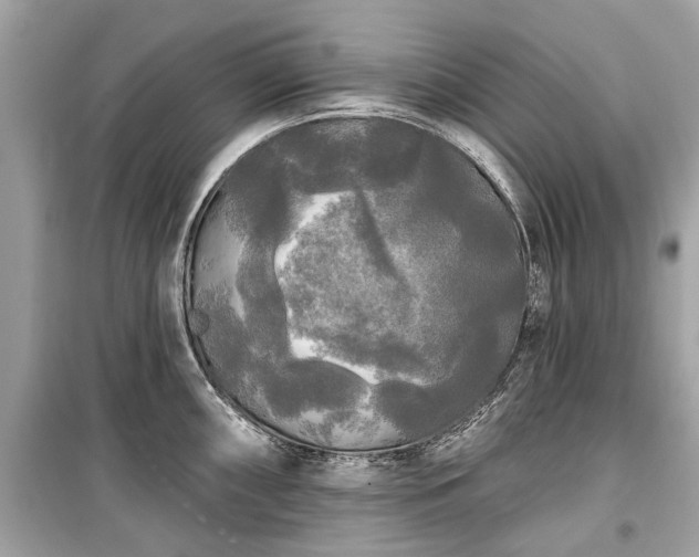 X0000099421098200805161039