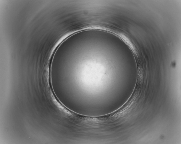 X0000099421100200805161039
