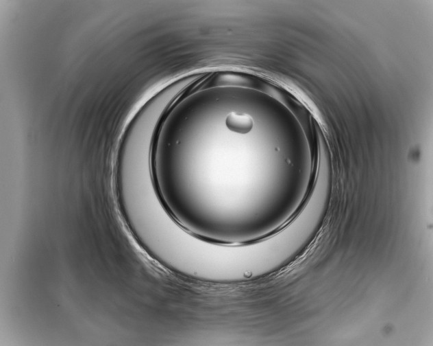X0000099421101200805161039
