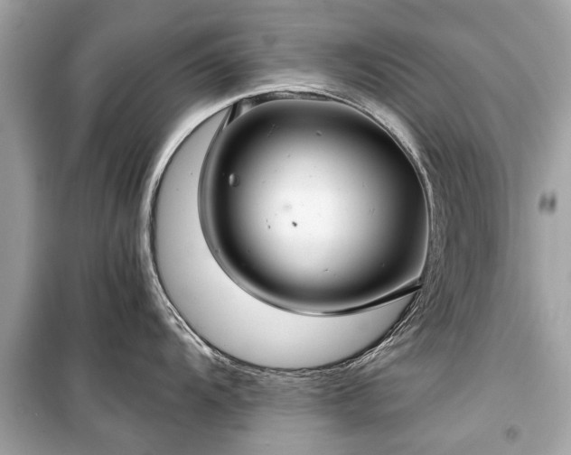 X0000099421104200805161039