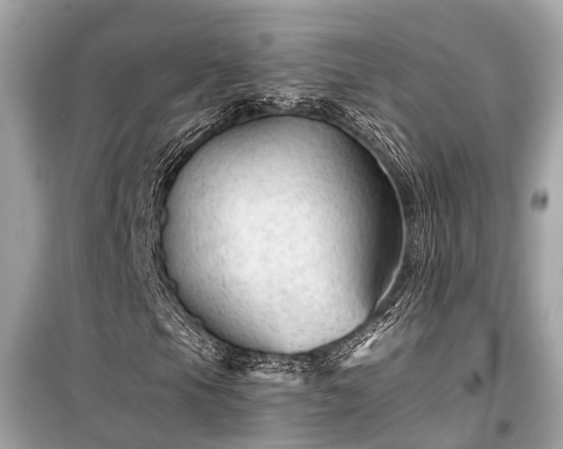 X0000099421105200805161039