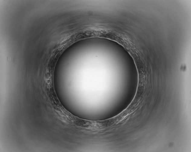 X0000099421109200805161039