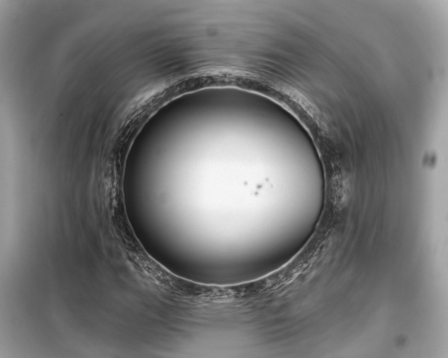 X0000099421111200805161039